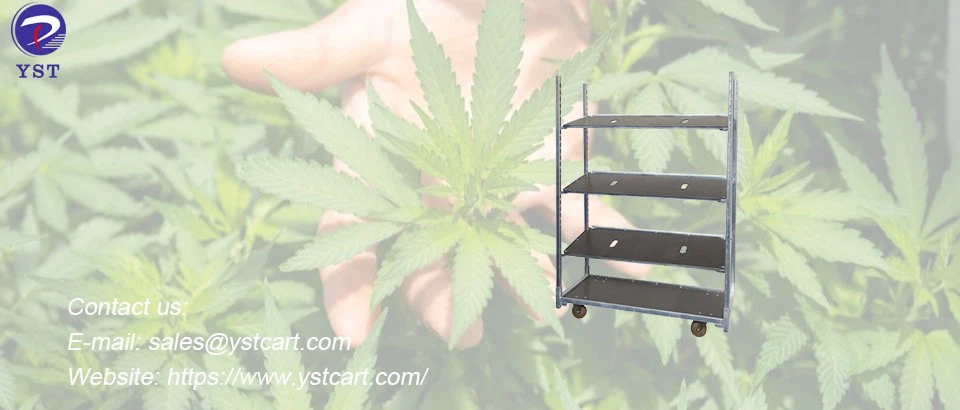 Danish Trolleys-13 Danish Trolleys-13