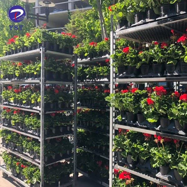 Dutch Cart For Florists
