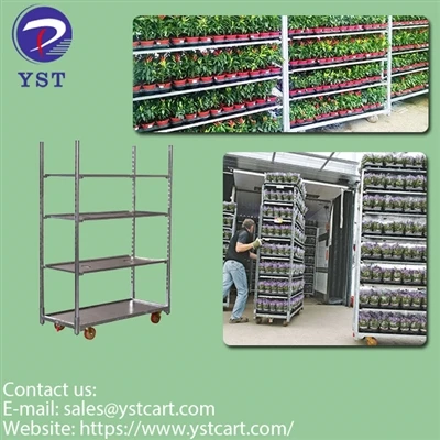 Cara Merawat dan Memelihara Troli Belanda di Industri Hortikultura