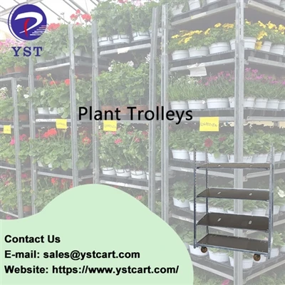 Merampingkan Operasional dengan Troli Tanaman di Industri Hortikultura