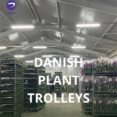 Bagaimana troli tanaman Denmark memaksimalkan hasil rumah kaca