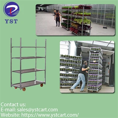 Mengapa troli Denmark penting untuk transportasi tanaman