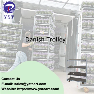 Masa Depan Transportasi Bunga: Troli Denmark